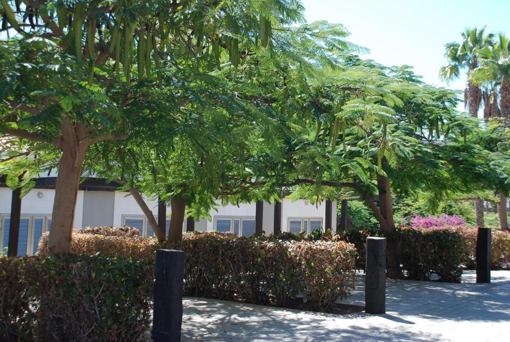 Villa Blue Marlin 6 Pasito Blanco Exterior foto